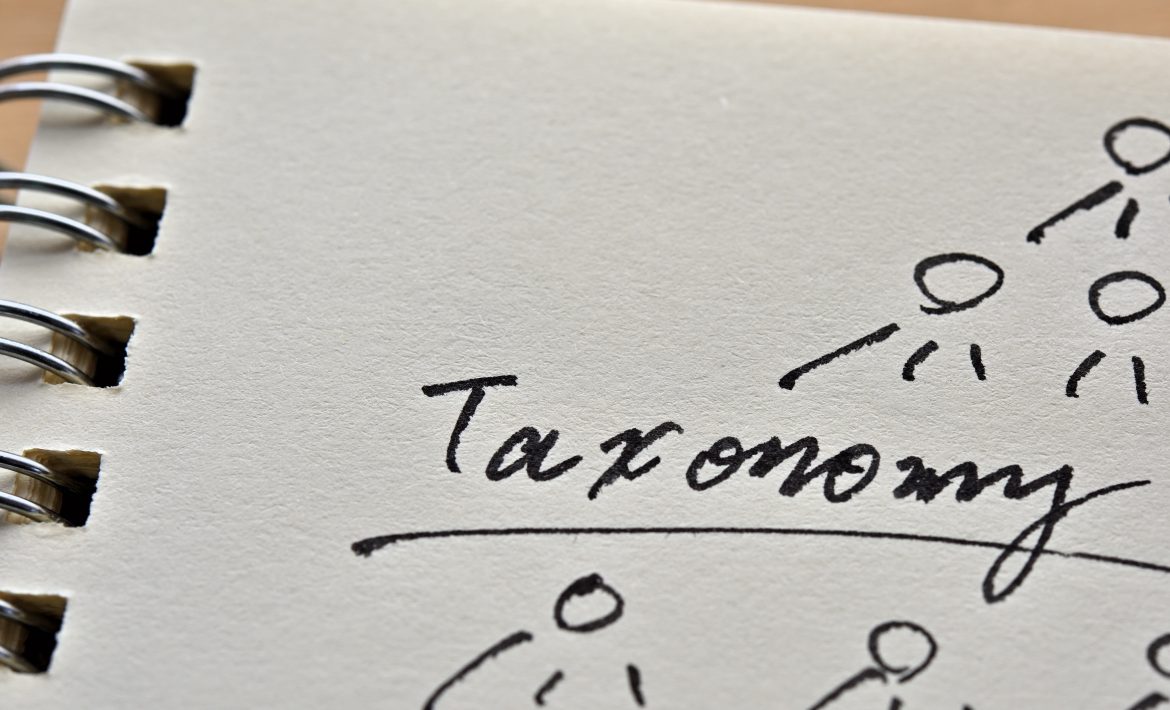 Taxonomy representation in a notebook.